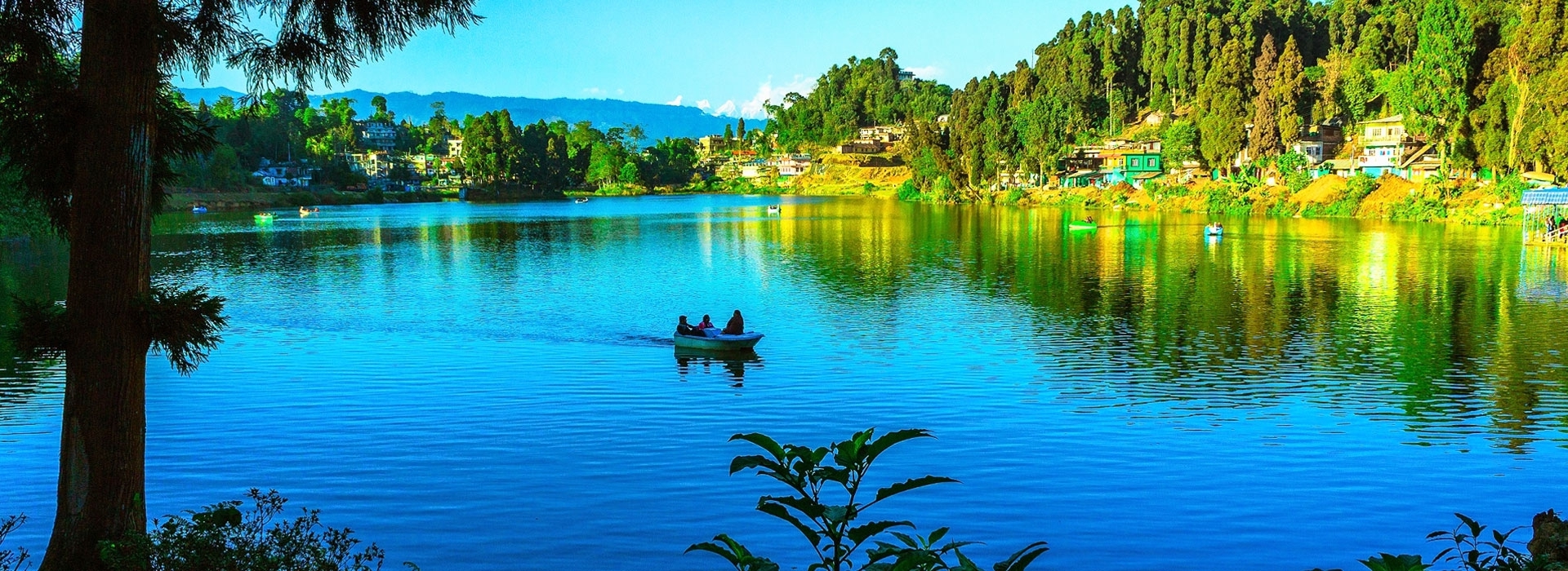 Best of Darjeeling Tour