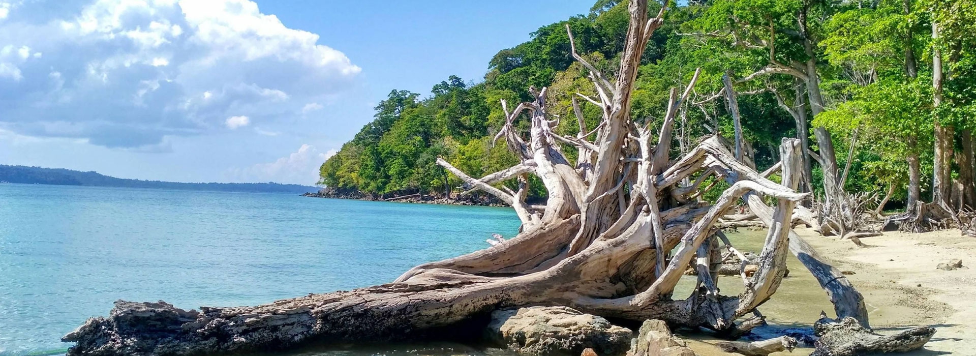 3 Night 4 Days Andaman Tour Packages