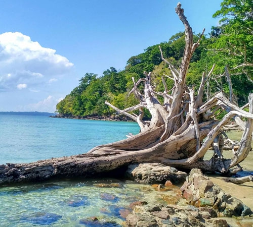 3 Night 4 Days Andaman Tour Packages